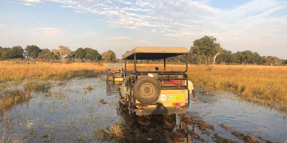 travel-report-botswana-blog-malawian-style