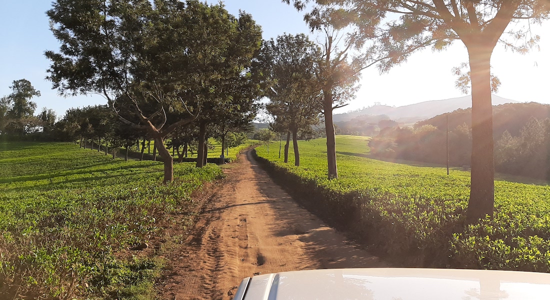 driving around huntingdon house